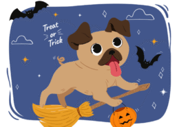 35 Halloween Dog Puns That Are the Treat, Not the Trick