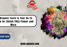 Why Organic Taste is Your Go-To Source for Shiloh THCa Flower and More