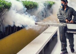 Fumigation Services & Bed Bug Bites Treatment in Pakistan