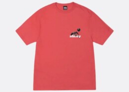 Stussy clothing styles trending among street lovers