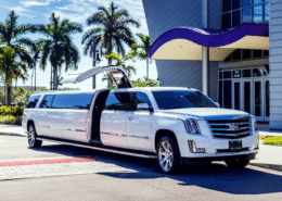 What makes Ramz Limo one of the best limousine services in Chicago, IL?