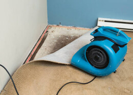 Carpet Repair Specialist And Stretching Tips For Every Home