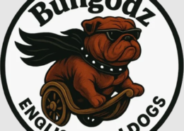 English Bulldog Hoodie NYX and Bulldog Funny Cartoon Hoodie: Stylish Comfort for Bulldog Lovers