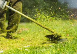 What lawn services do they offer in Dubai?