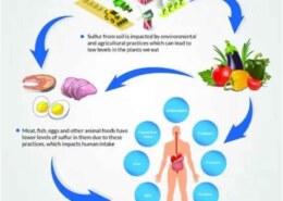 Why Sulfur Matters More Than Most People Realize