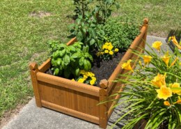 Plants For Garden Beds