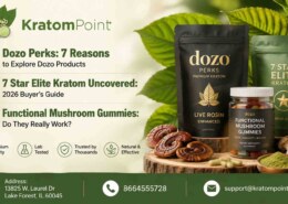 Functional Mushroom Gummies: Do They Really Work?