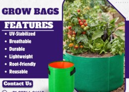 How to Choose the Right Grow Bags Supplier and Exporter?