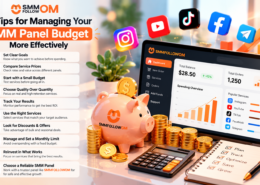 Smmfollowom | SMM Panel Budget Guide  10 Tips for Managing Your SMM Panel Budget More Effectively