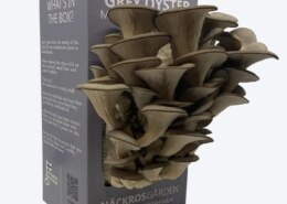 Beautiful Custom Mushroom Boxes For Retail Shelves