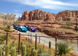 Charity Auction Travel Packages: What Sells, What Doesn't, and Why