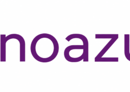 Renoazul Rugs
