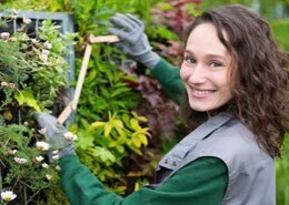 Trees by Forrest | Tree Contractors for Dependable Property and Landscape Care